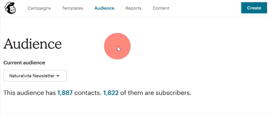 Mailchimp_audience