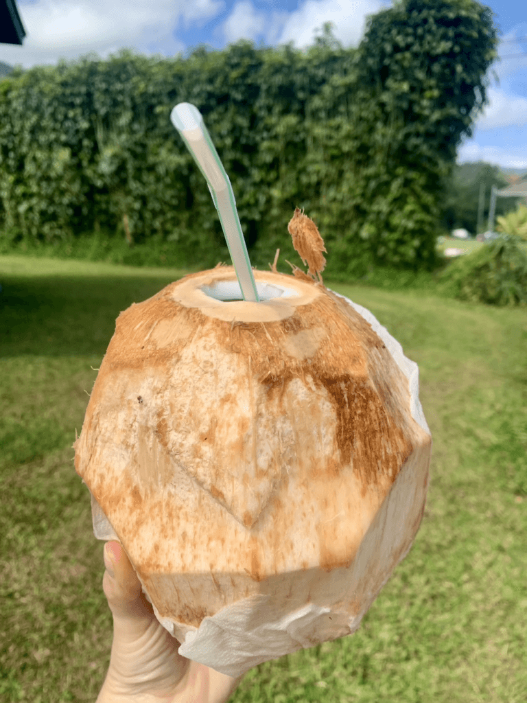 Best Vegan Food Kauai