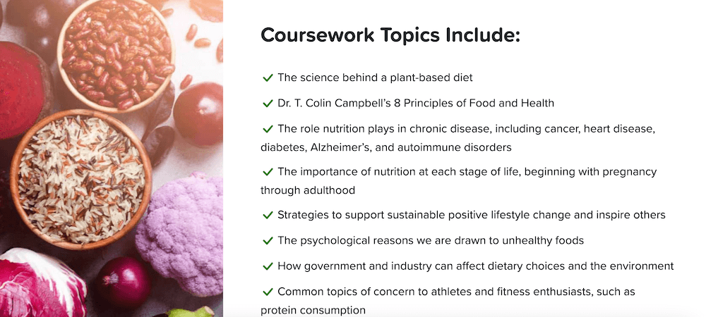 Best Online Nutrition Course 2024