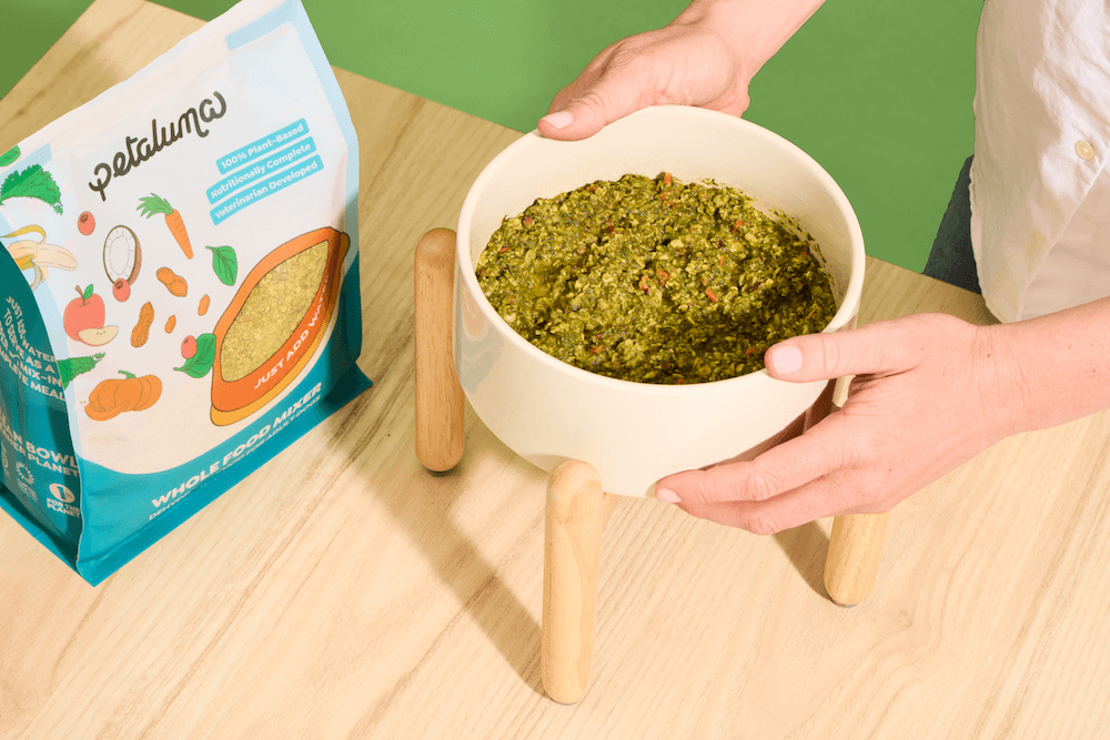 Best Dog Food Topper Clean Ingredients 2025