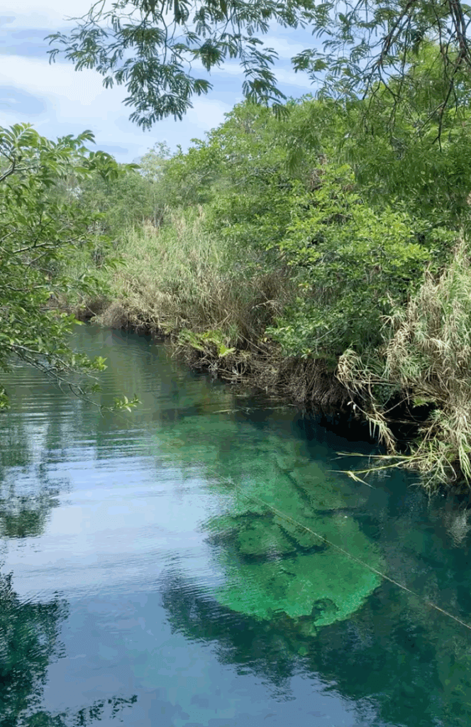 Tulum Travel Guide 2025