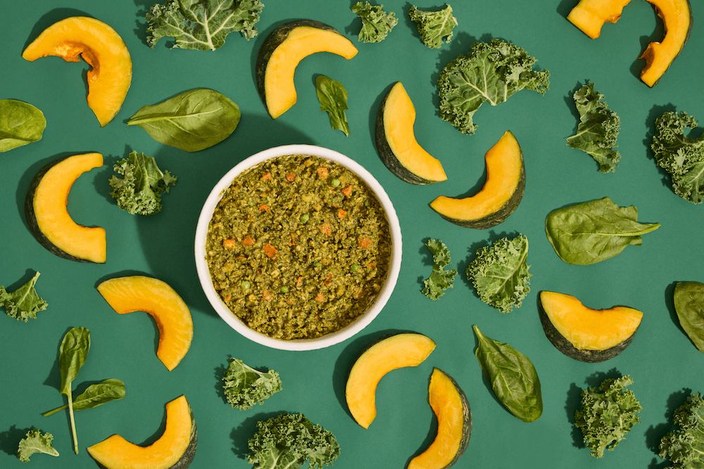 Best Vegan Dog Food 2025