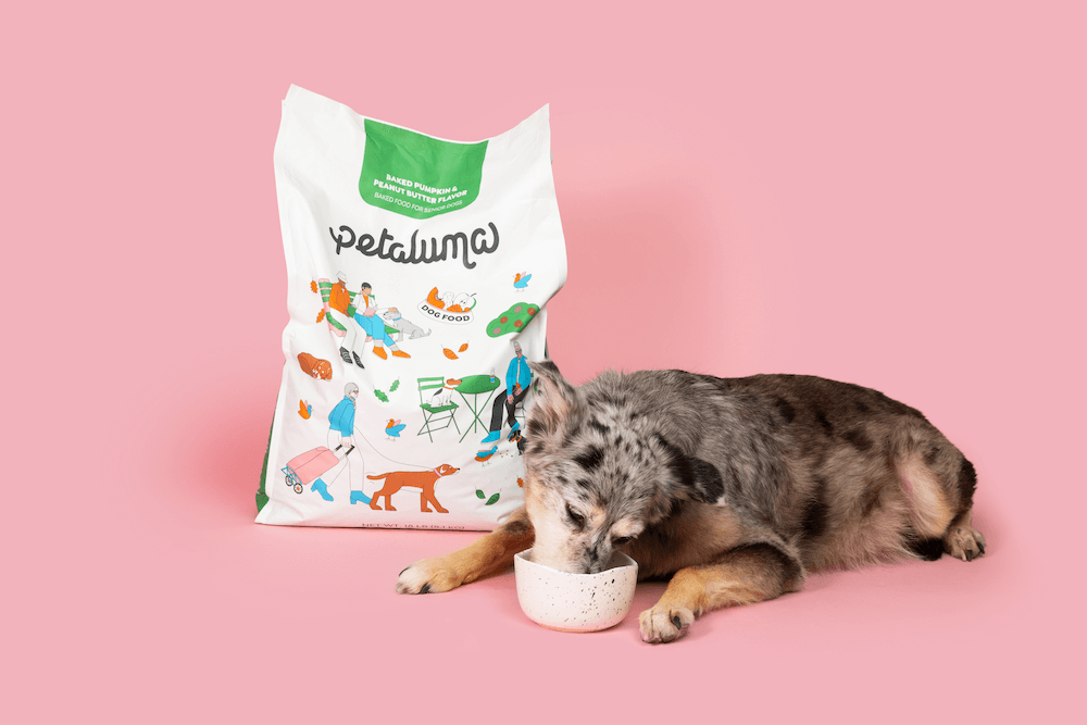 Best reviewed dog food 2025