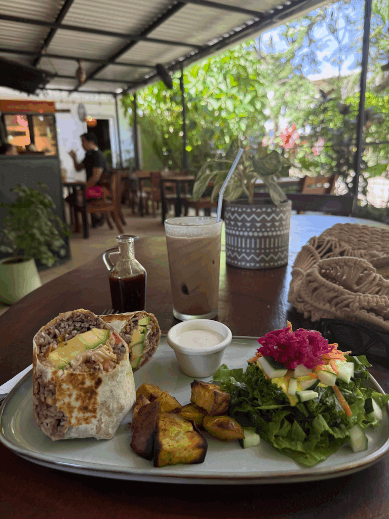 Nosara Travel Guide 2025