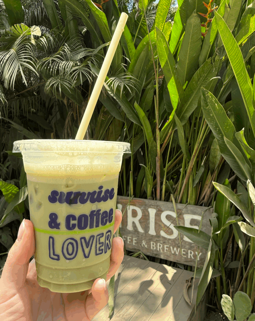 Best Coffee in Nosara 2025