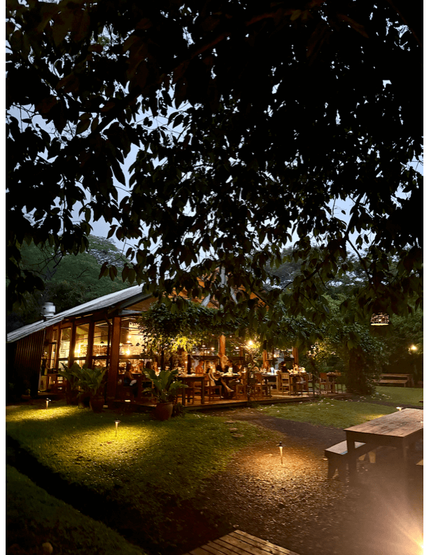 Best Restaurants in Nosara