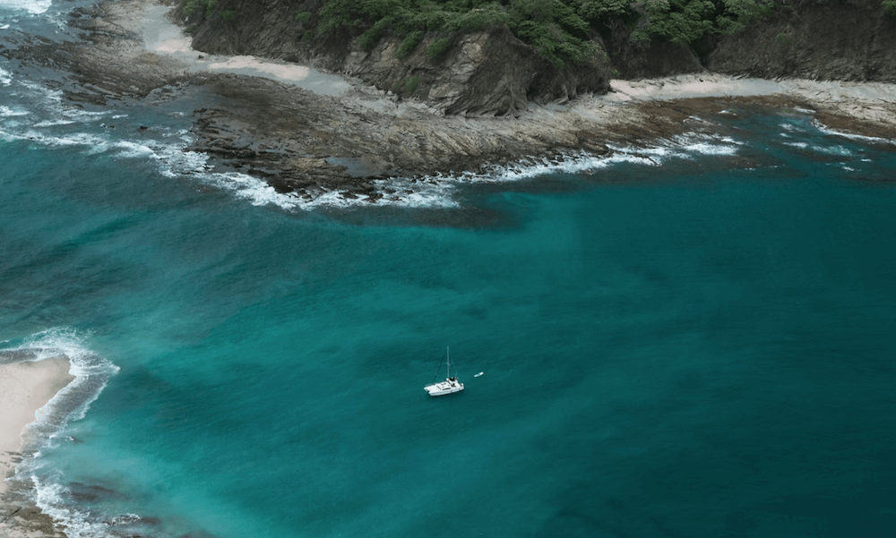 Boat Tour Reviews Nosara