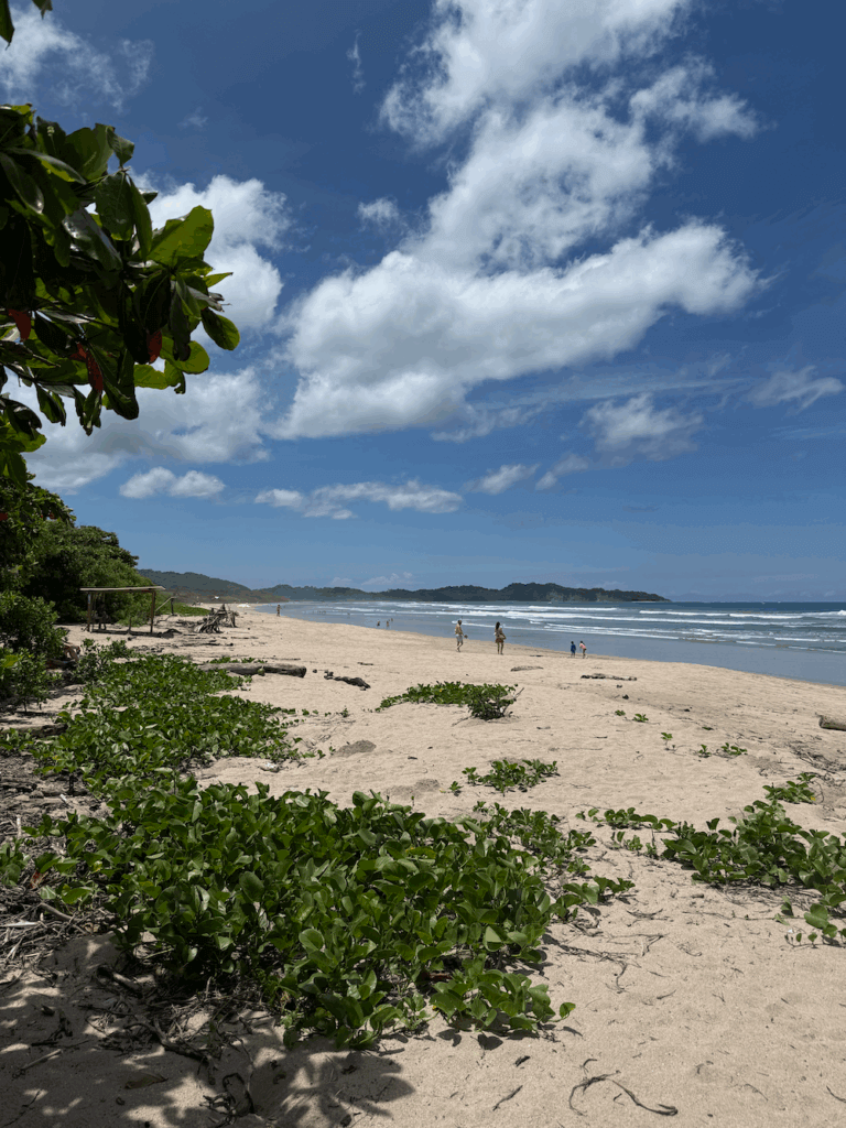 Nosara Travel Guide Costa Rica