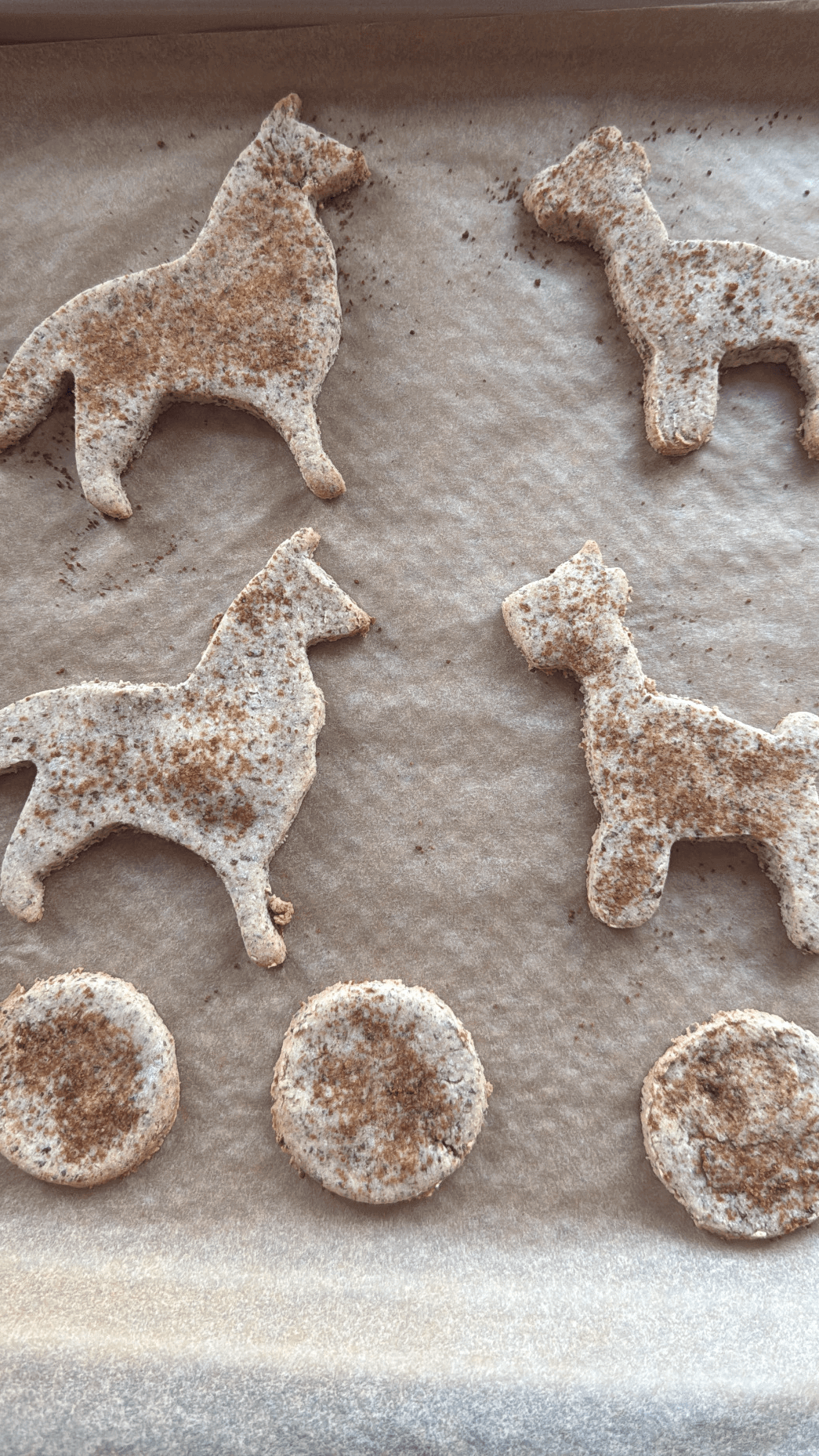 Gluten Free Refined Sugar Free Cookies