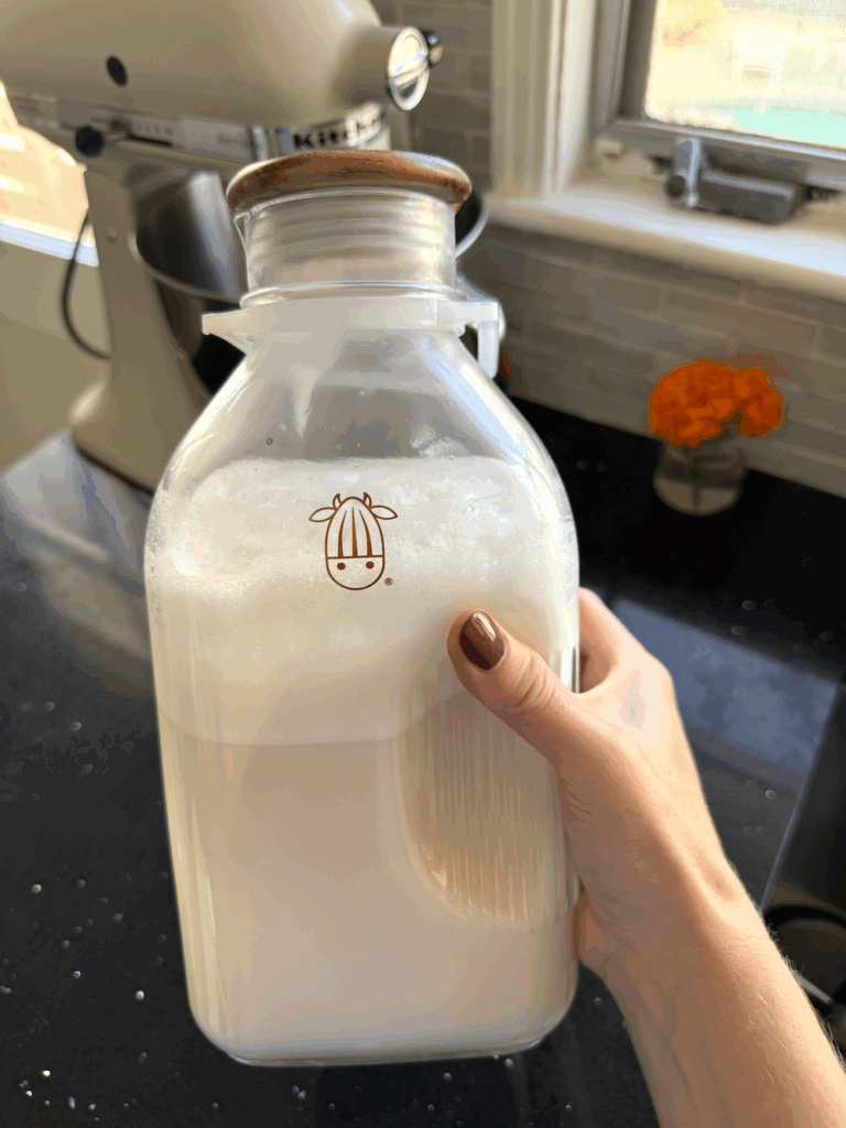 How to Make Oat Milk at Home Easy Recipe