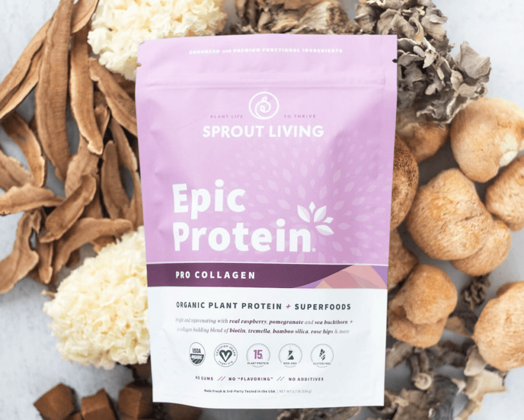 Best Vegan Protein Powders 2026