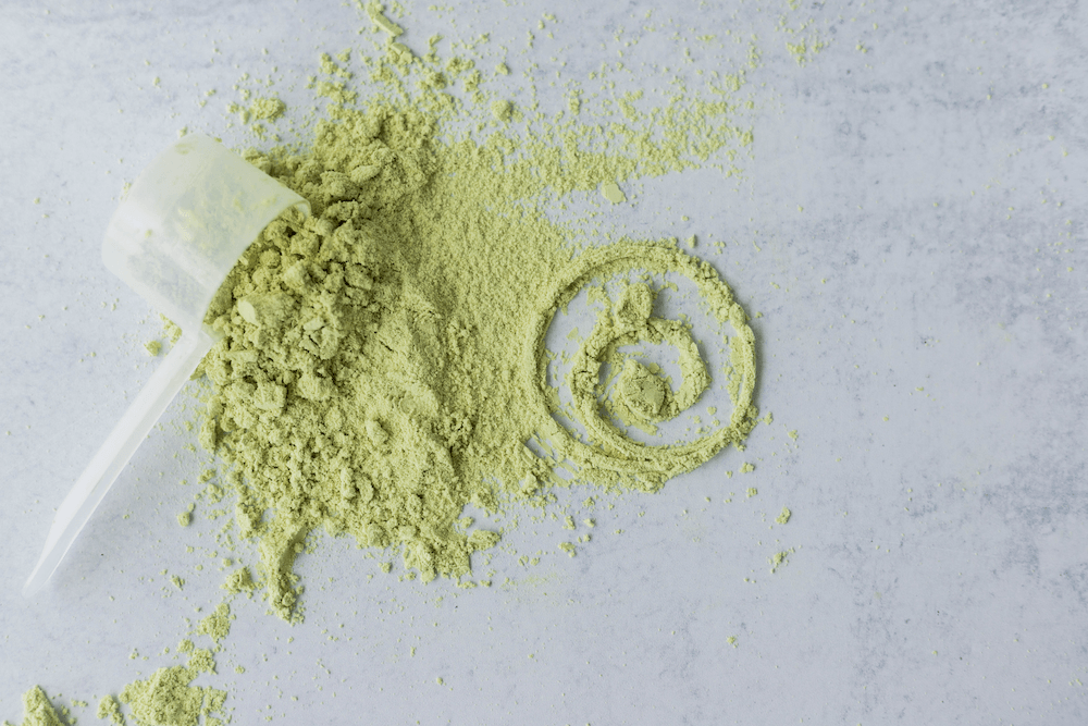 Best Tasting Protein Powder